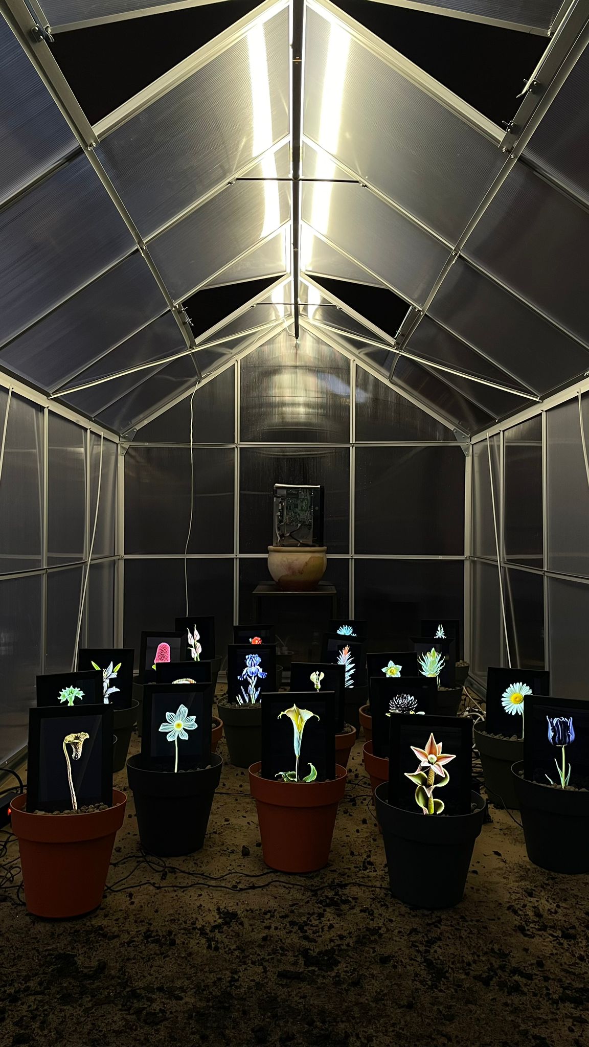 Fioriture Sintetiche A project by Sintetica Collective (Matteo Mandelli & Luca Baldocchi).