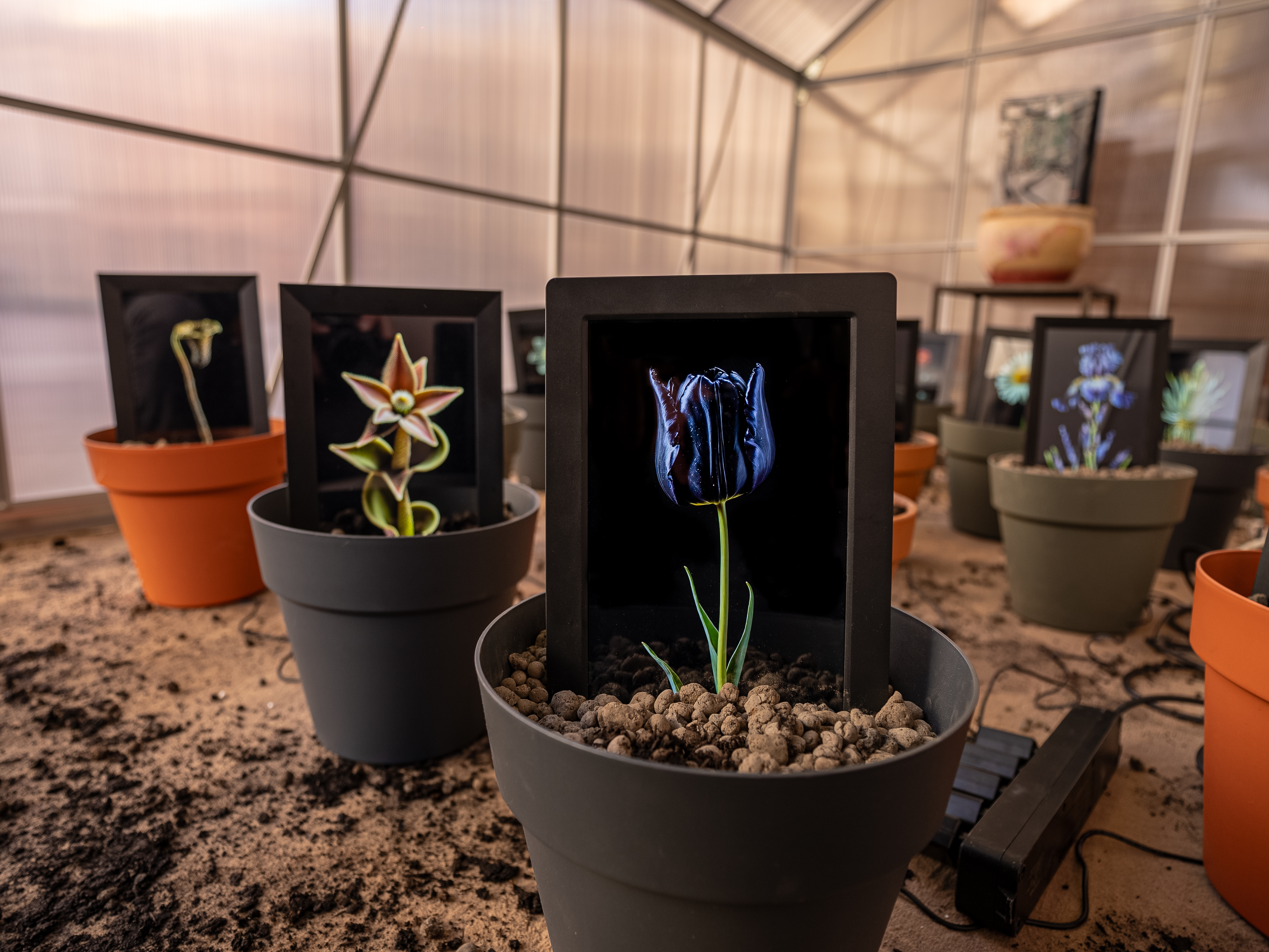 opera Matteo Mandelli