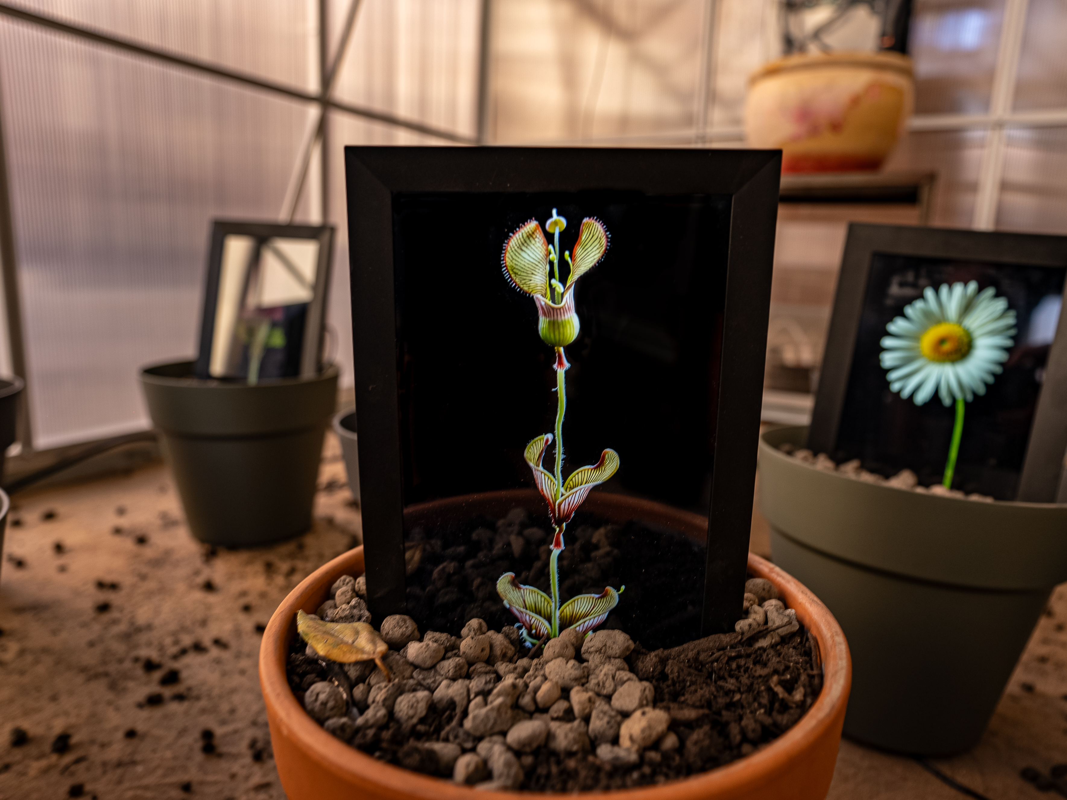 opera Matteo Mandelli